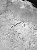 KATE-200 image