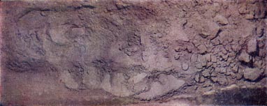 Luna-16 Lunar Soil Sample