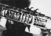 Luna-24 Lunar Core Sample