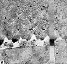 Mars-5 Frame 1.9.V