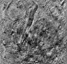 Mars-5 Frame 1.4.Z