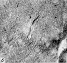 Mars-5 Frame 3.2.V