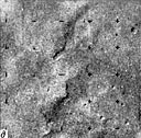Mars-5 Frame 3.2.Z