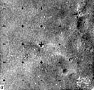 Mars-5 Frame 3.4.Z