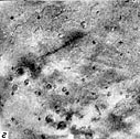 Mars-5 Frame 4.4.V