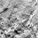 Mars-5 Frame 4.6.V