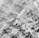Mars-5 Frame 4.8.V
