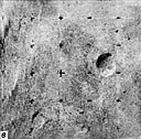 Mars-5 Frame 5.1.Z