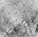 Mars-5 Frame 5.2.Z