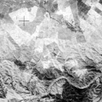 TK-350 image