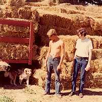 Hauling Hay 1973
