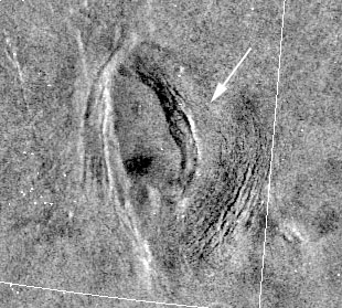 Colette Patera from Venera