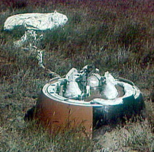 Venera-4
