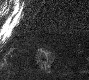 Arecibo Image of Volcano