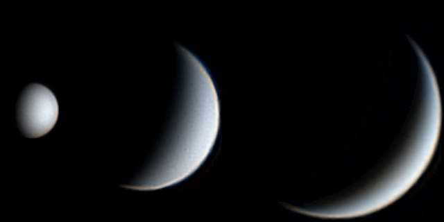 Damian Peach Telescopic Images of Venus