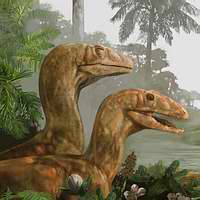 Mesozoic
